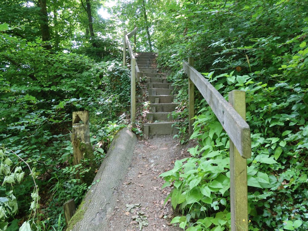 Treppe