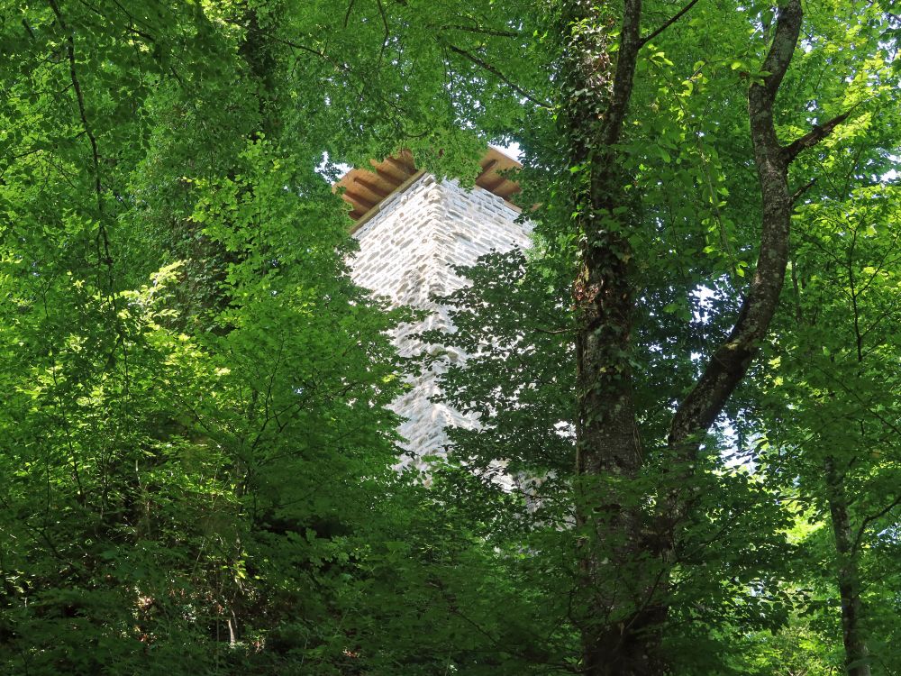 Burgruine Alt Wülflingen