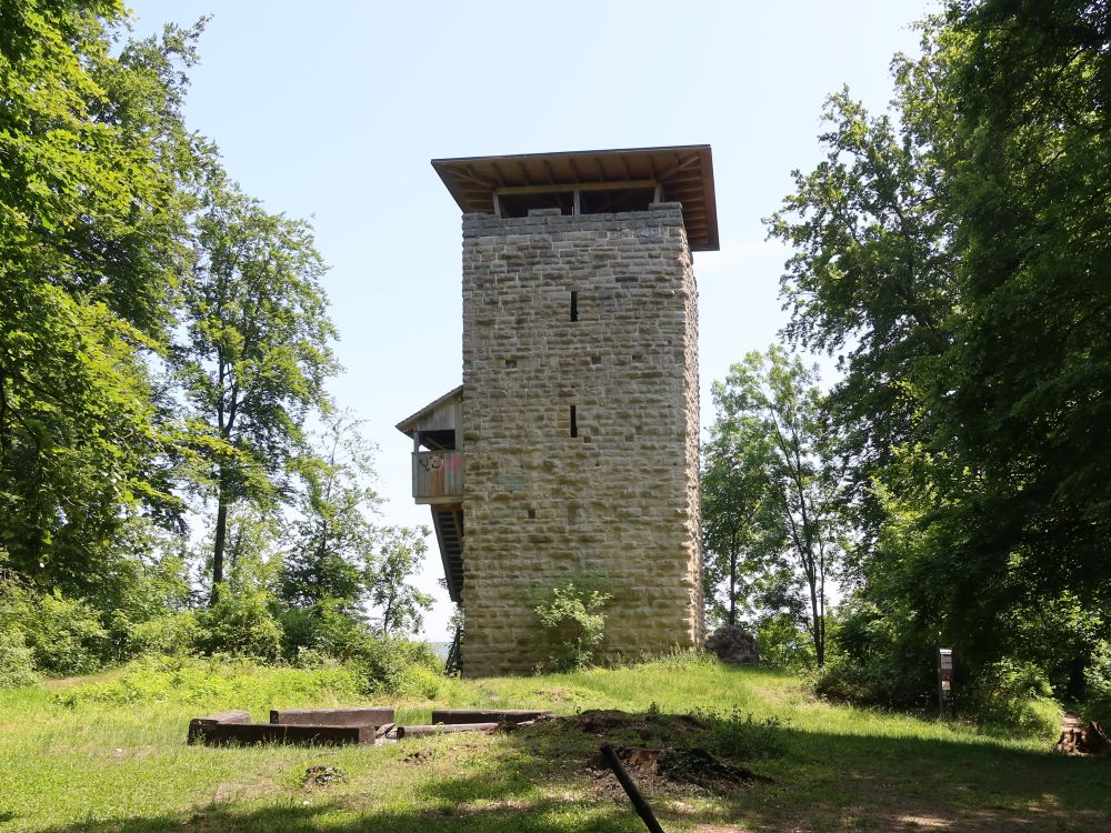 Burgruine Alt Wülflingen
