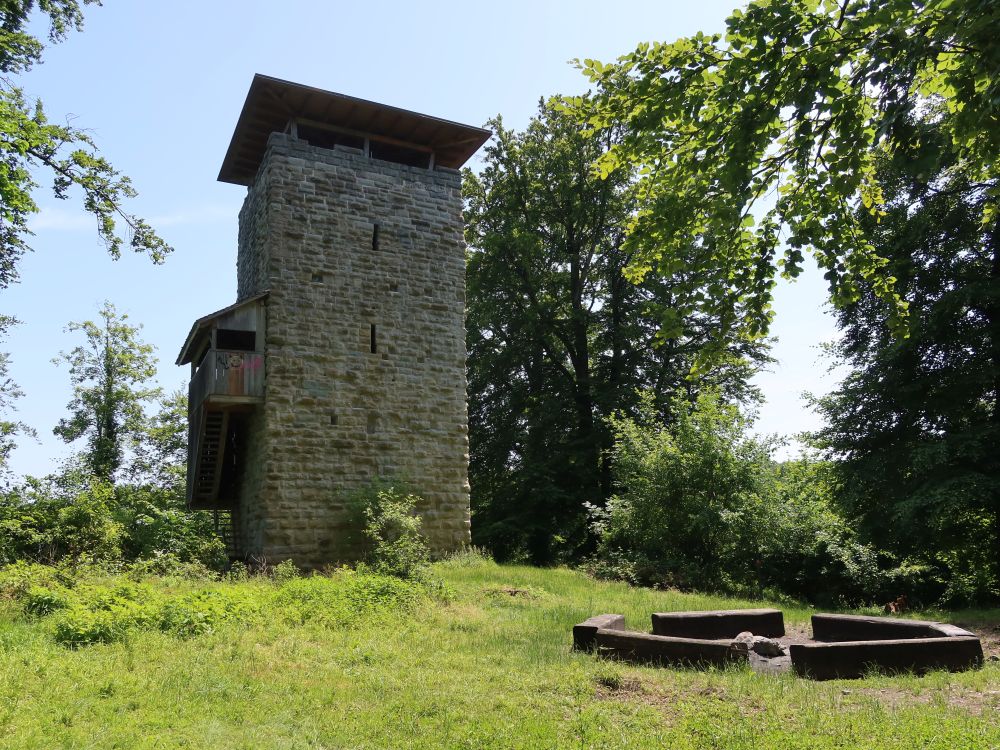 Burgruine Alt Wülflingen