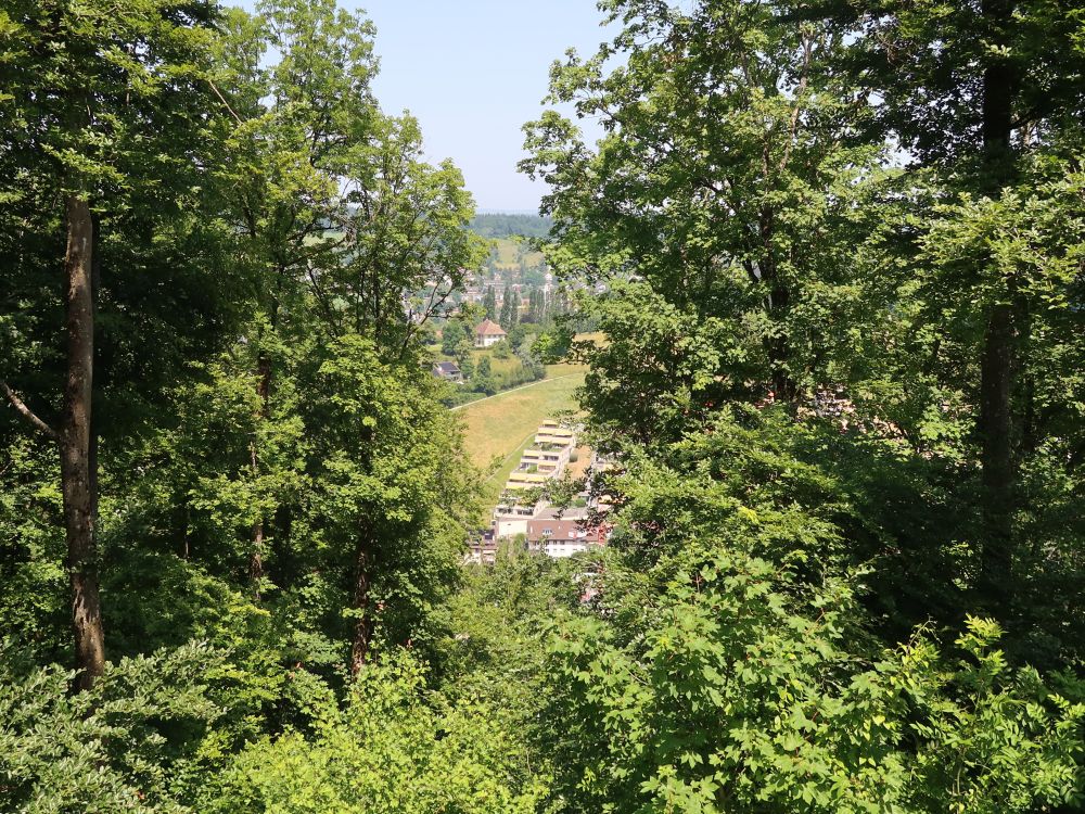 Terrassenhäuser zwischen den Bäumen