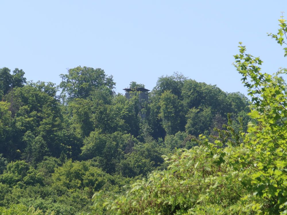 Burgruine Alt Wülflingen