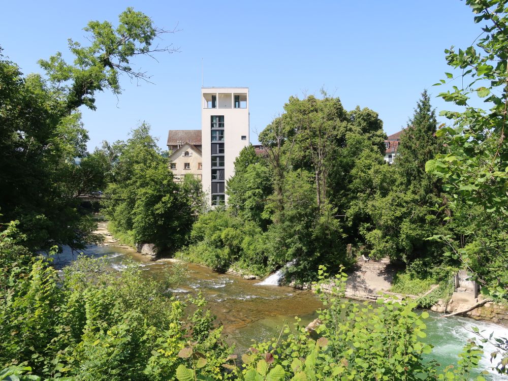 Wespimühle