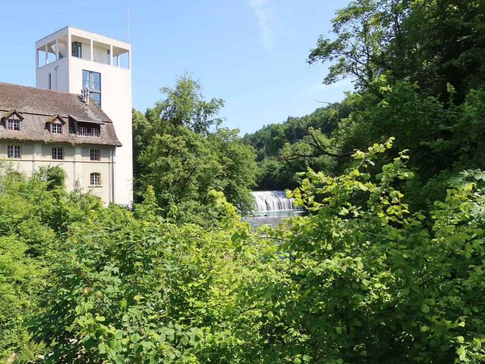 Wespimühle