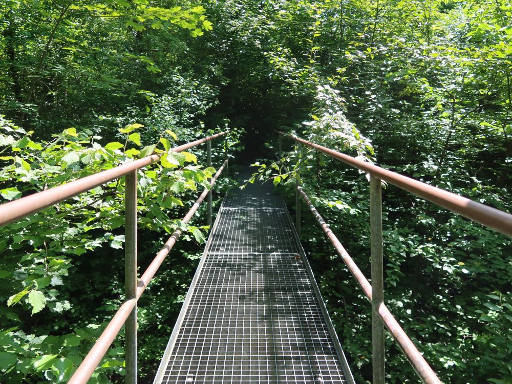 Eisensteg