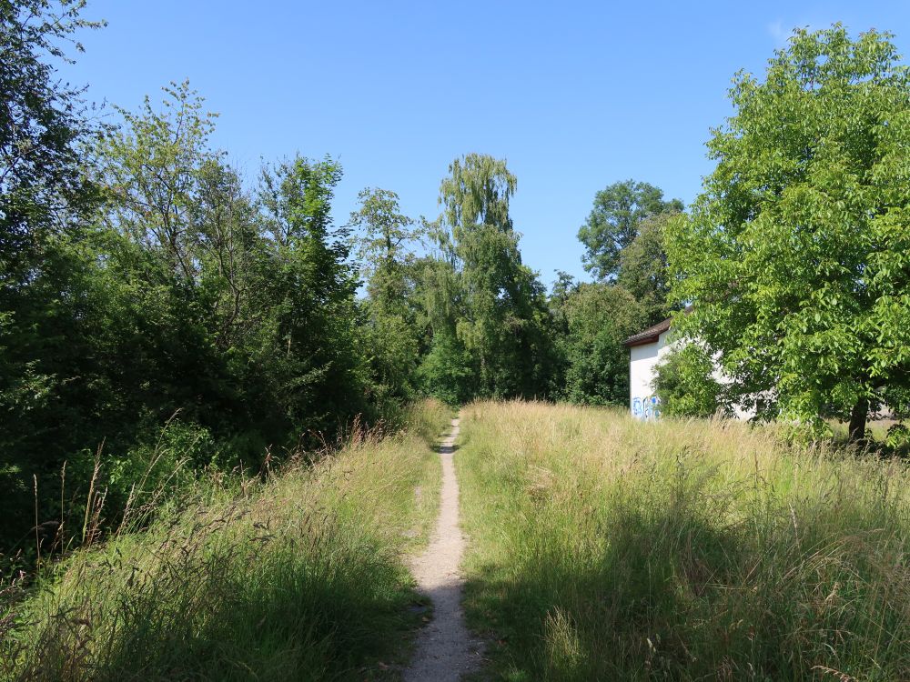 Wiesenpfad