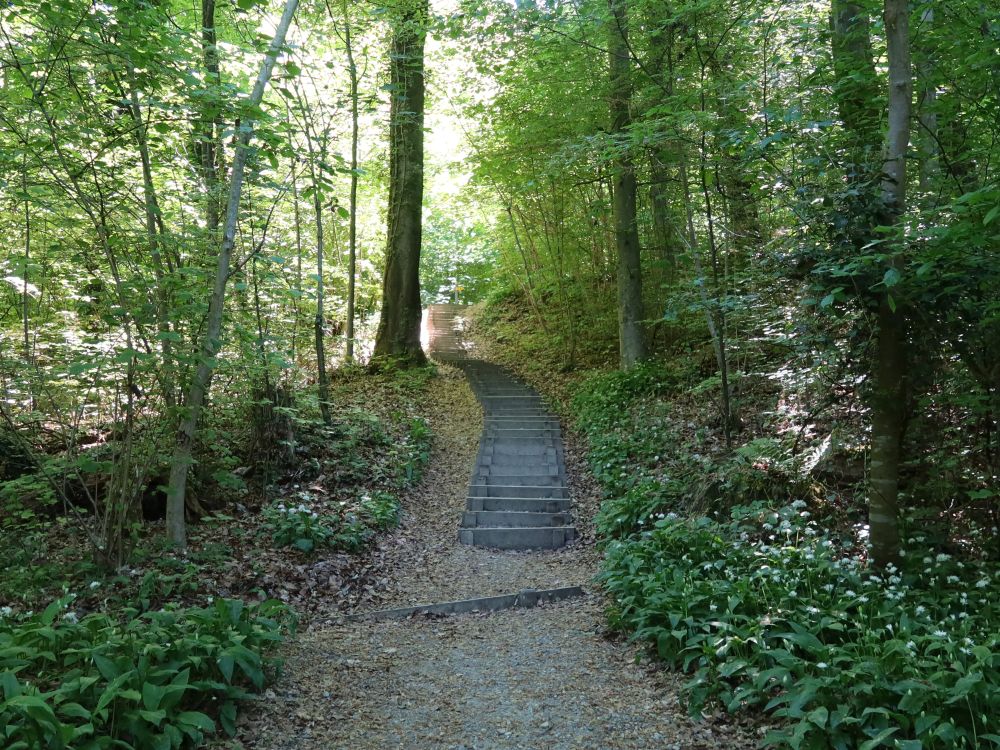 Treppe bei Tössrain