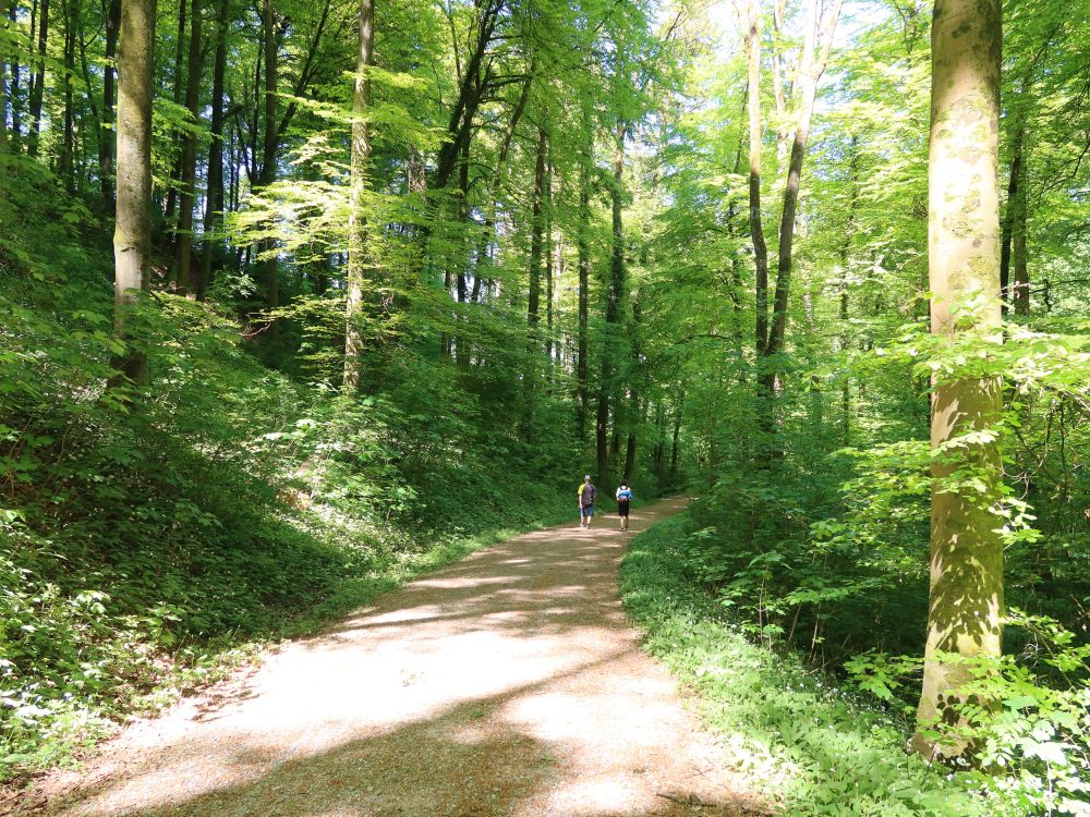 Kaspar-Weinamm-Strasse