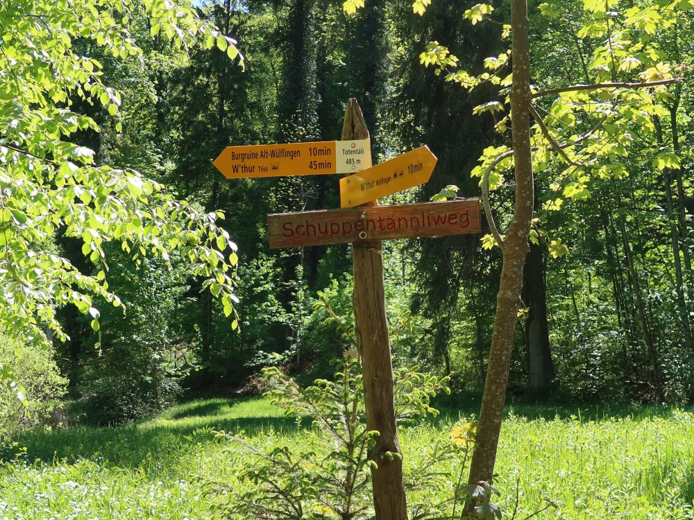 Wanderwegweiser