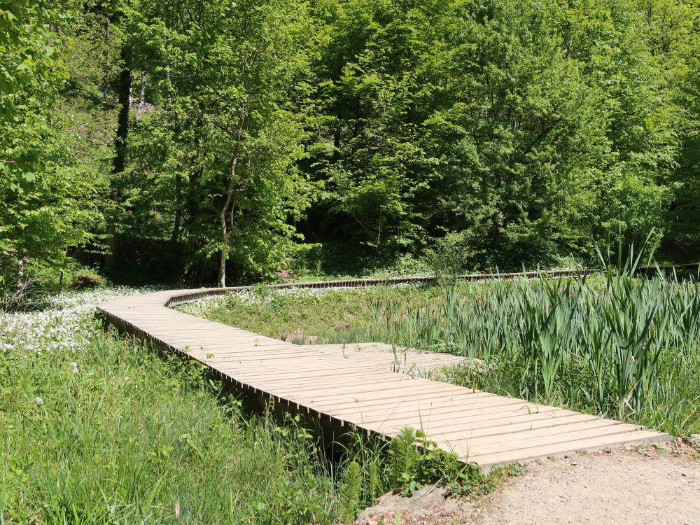 Holzsteg im Totental