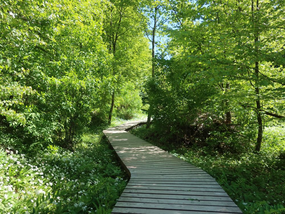 Holzsteg im Totental