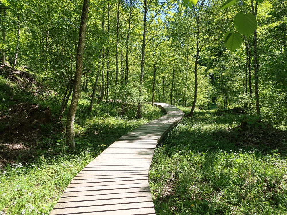 Holzsteg im Totental
