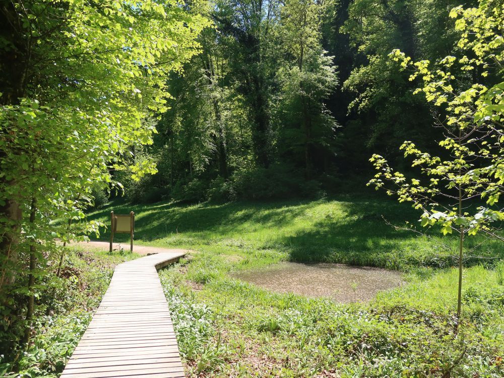 Holzsteg und Teich im Totental