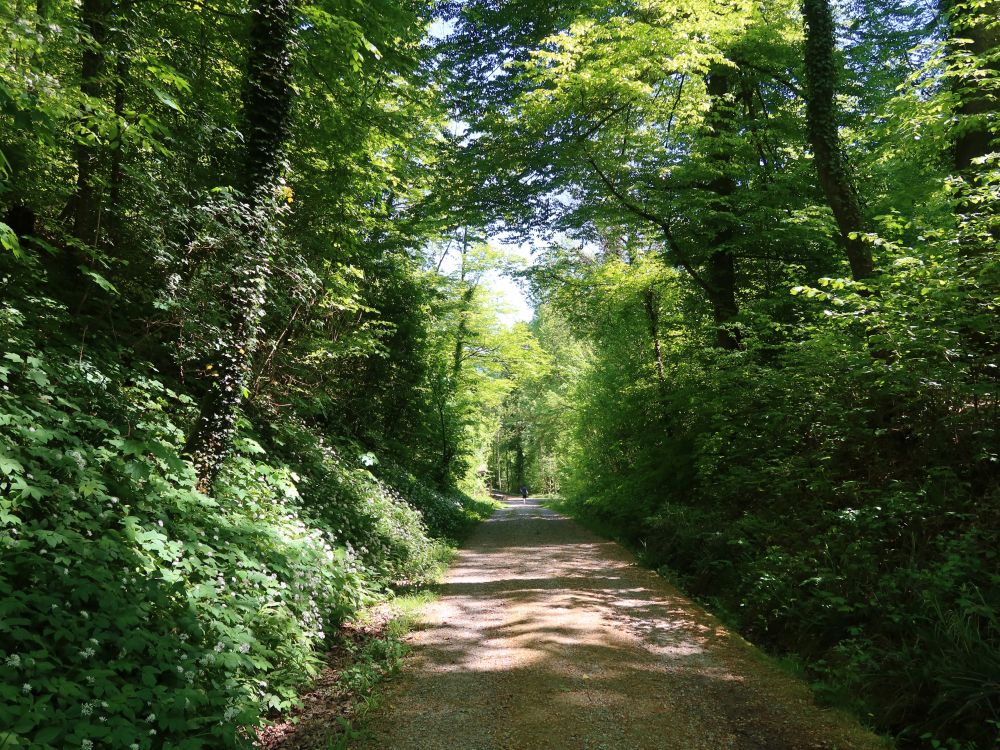 Weg im Totental