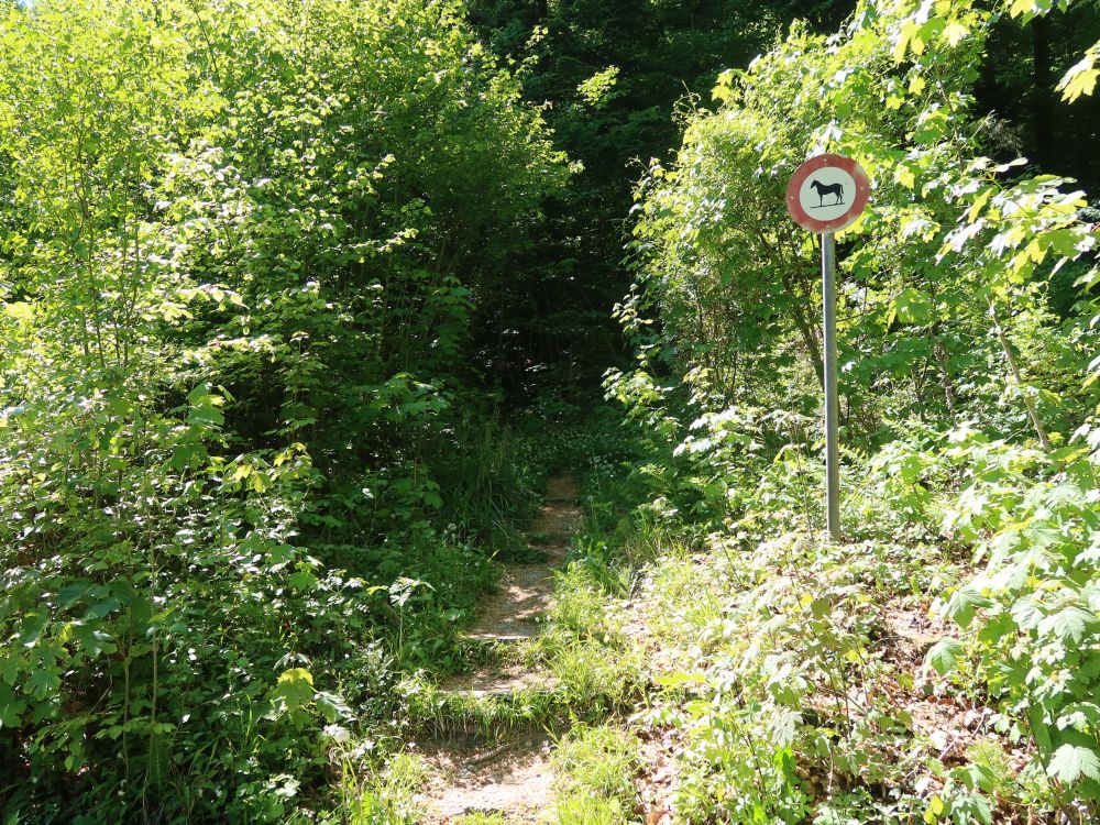 Reitverbot am Querweg