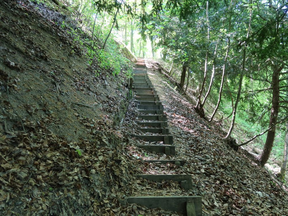 Treppe am Alpenklubweg
