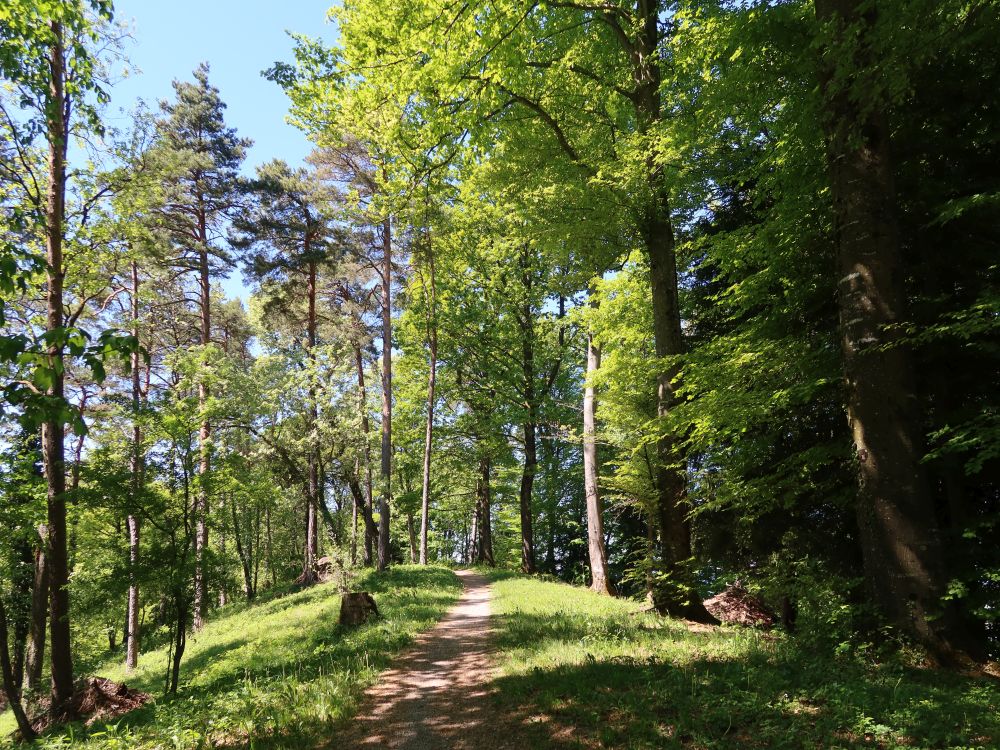 Gratweg