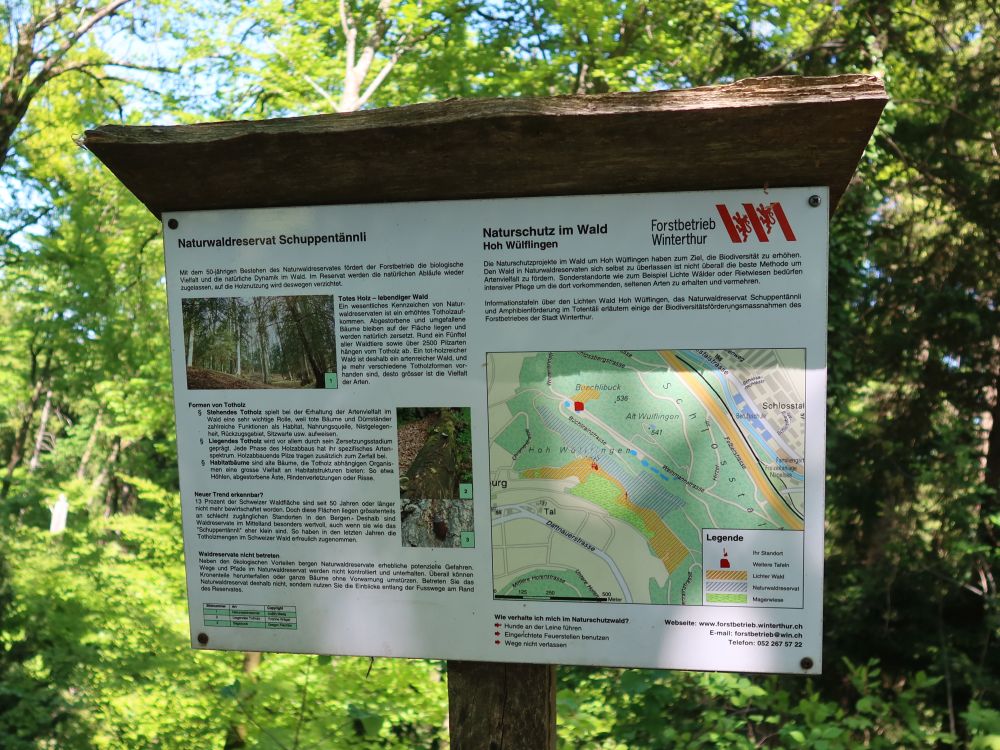 Infotafel