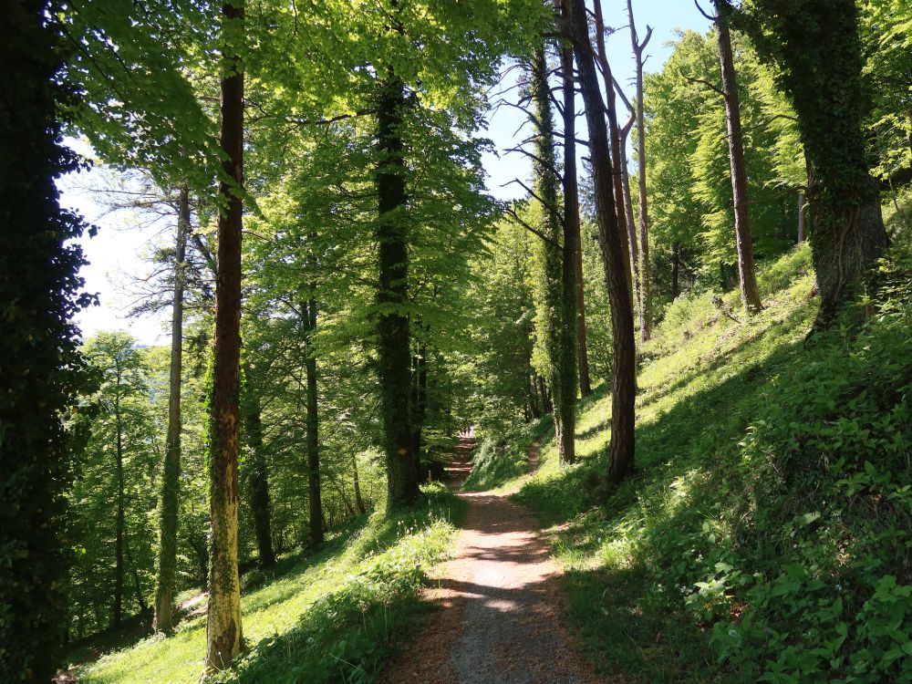 Gratweg
