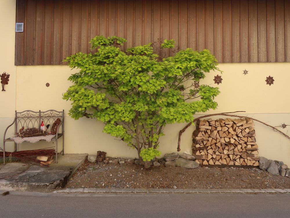 Hausdekoration