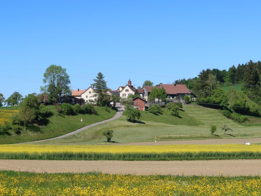 Neuburg