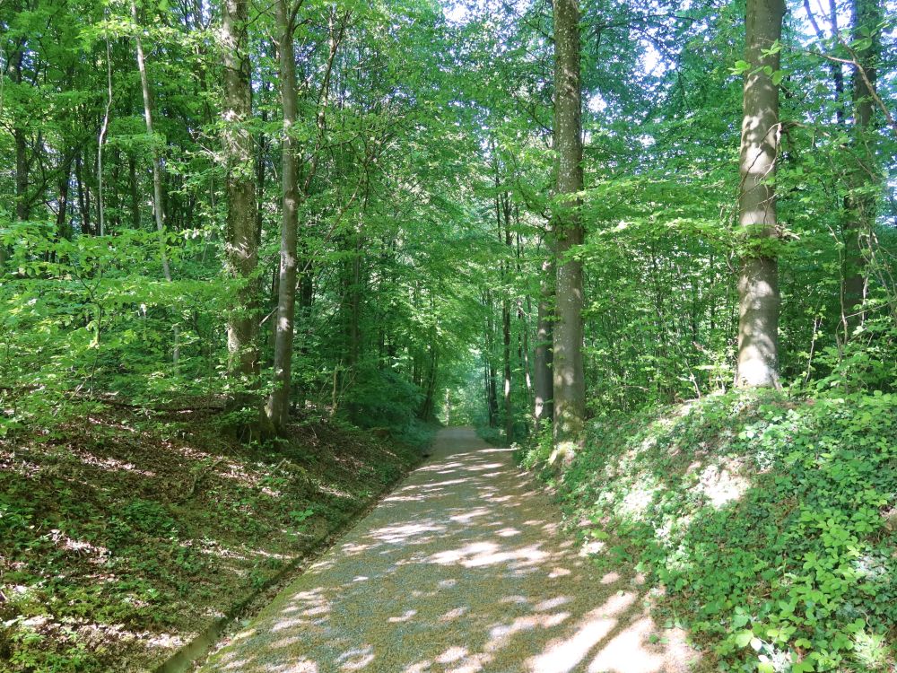 Langacherweg