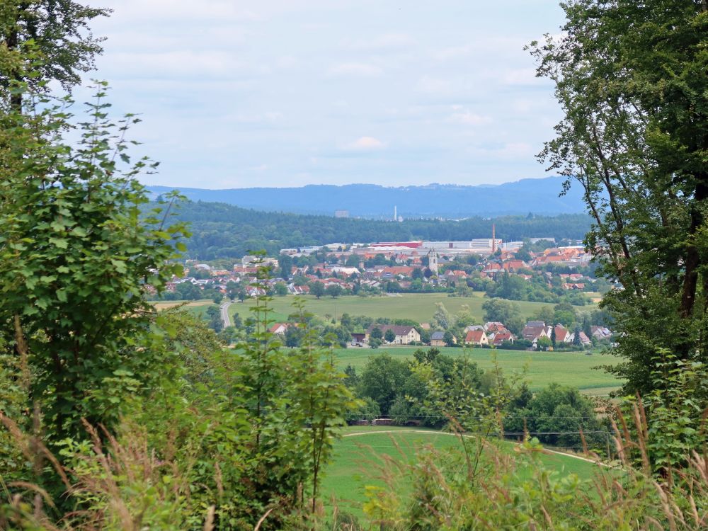 Blick Richtung Gottmadingen