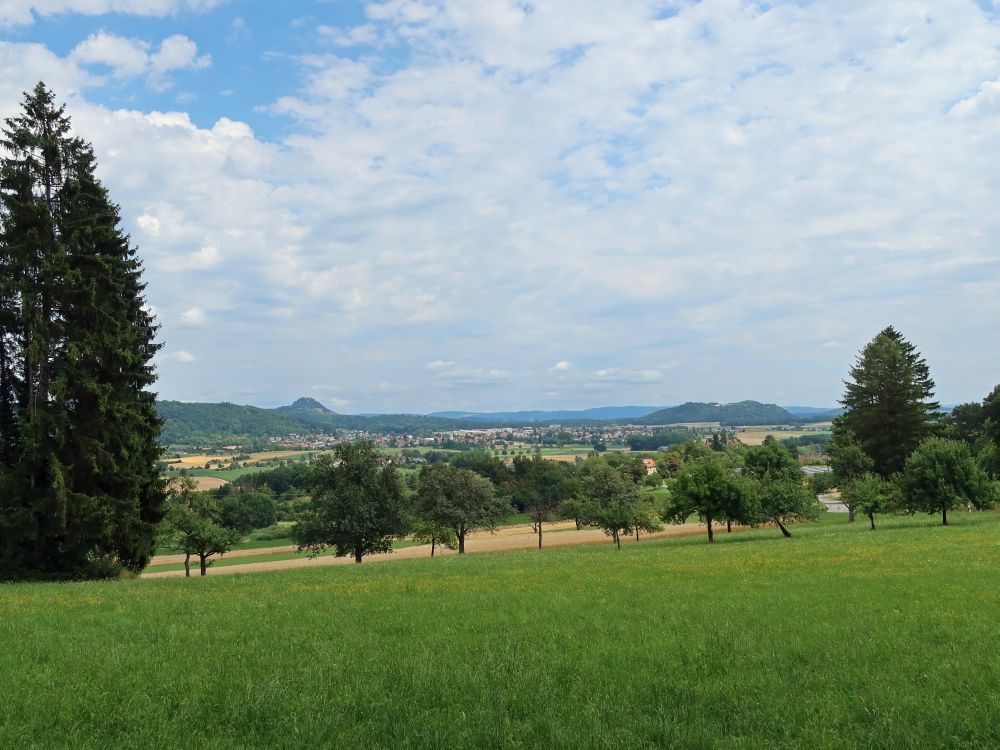 Blick ins Hegau, Hohentwiel und Rosenegg