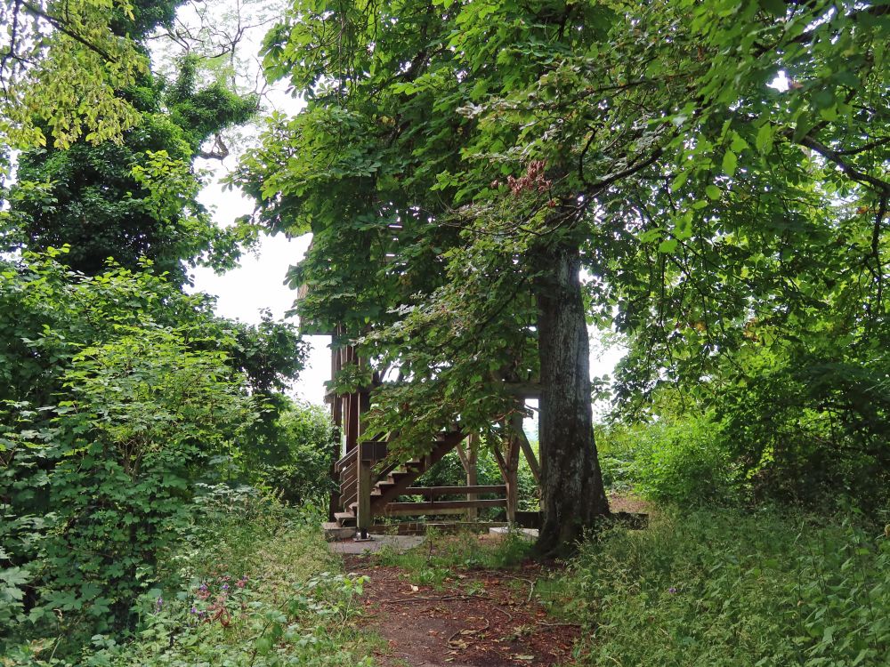 Aussichtsturm am Bürglischloss