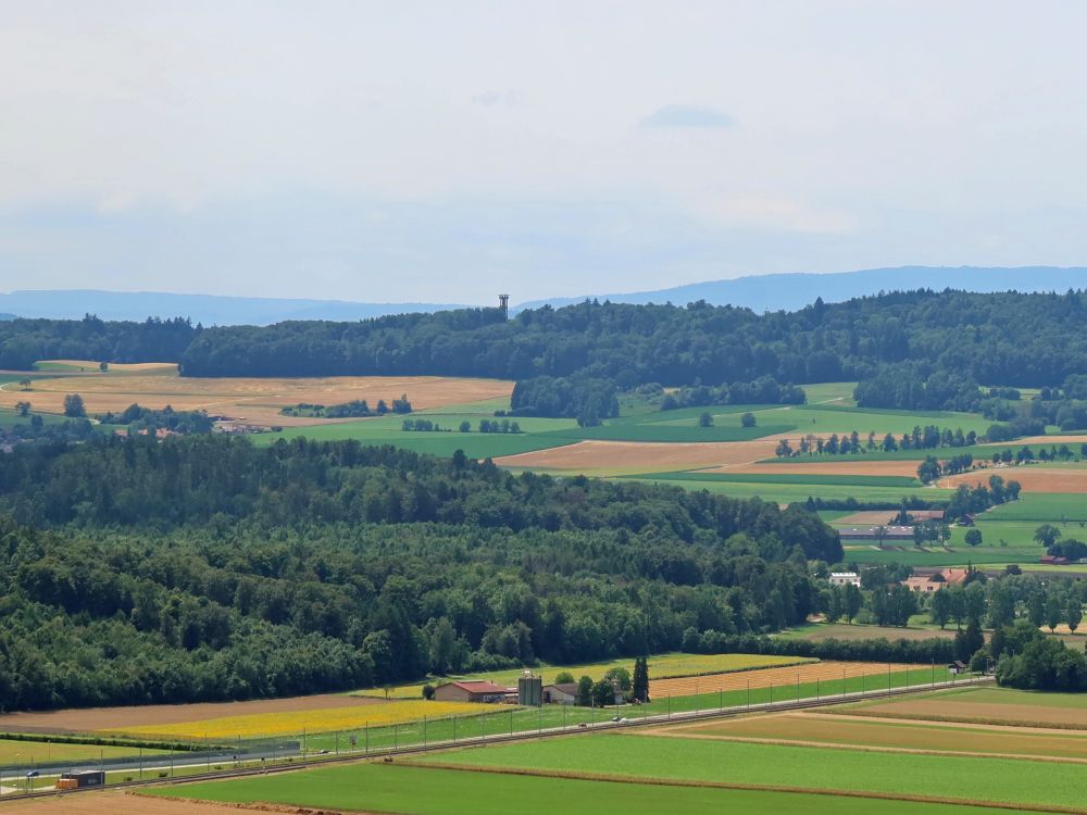 Blick Richtung Irchel