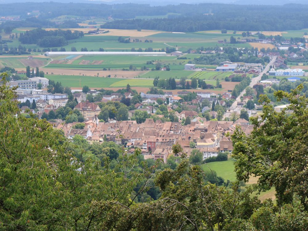 Altstadt von Diessenhofen