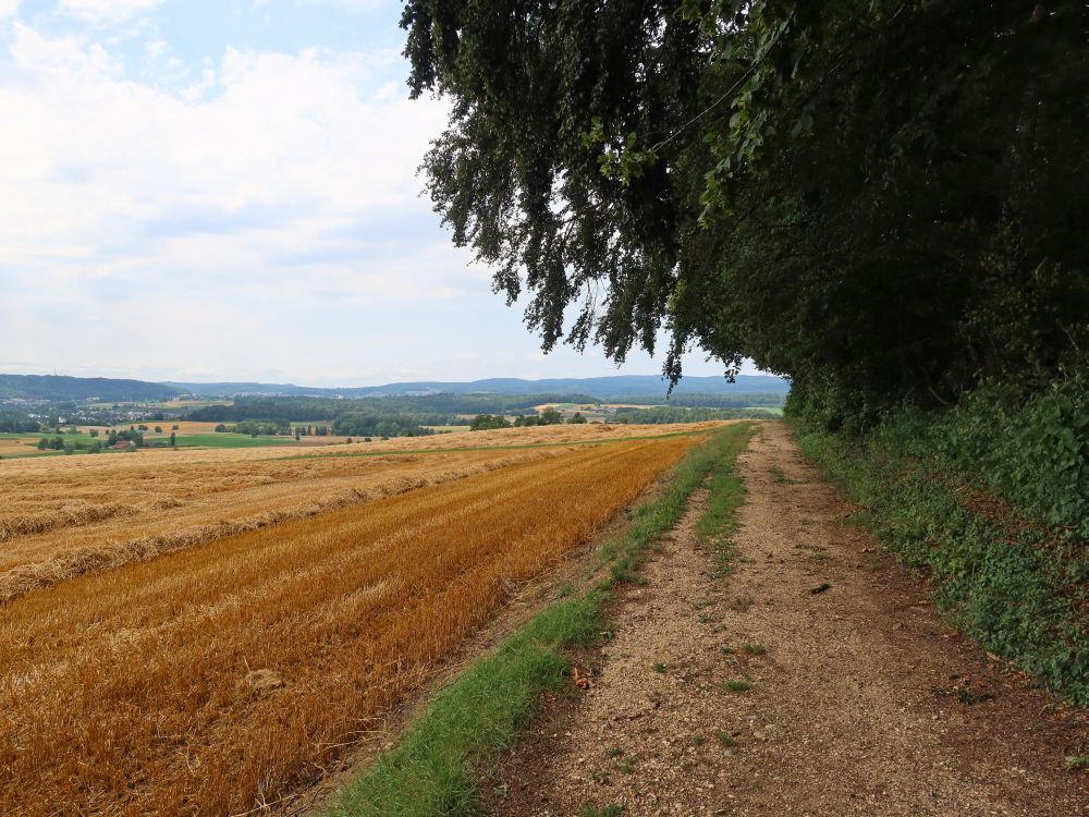 Weg am Waldrand