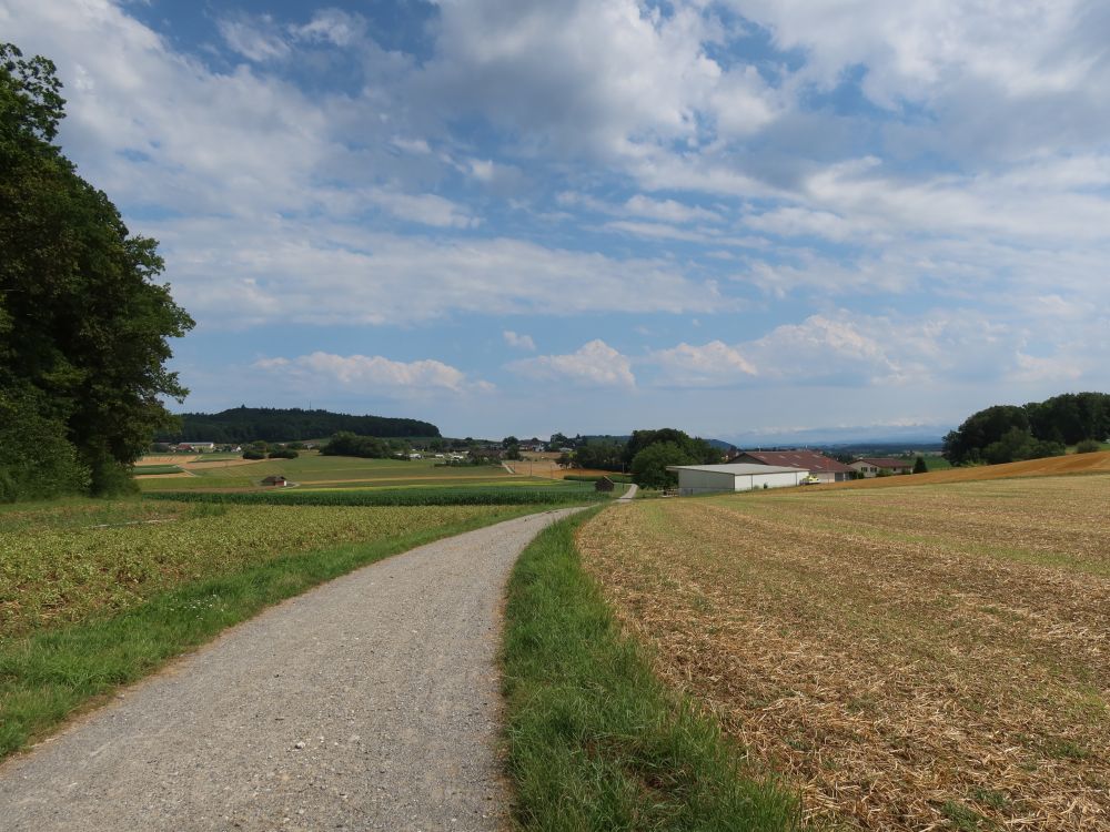 Blick Richtung Neudörflingen