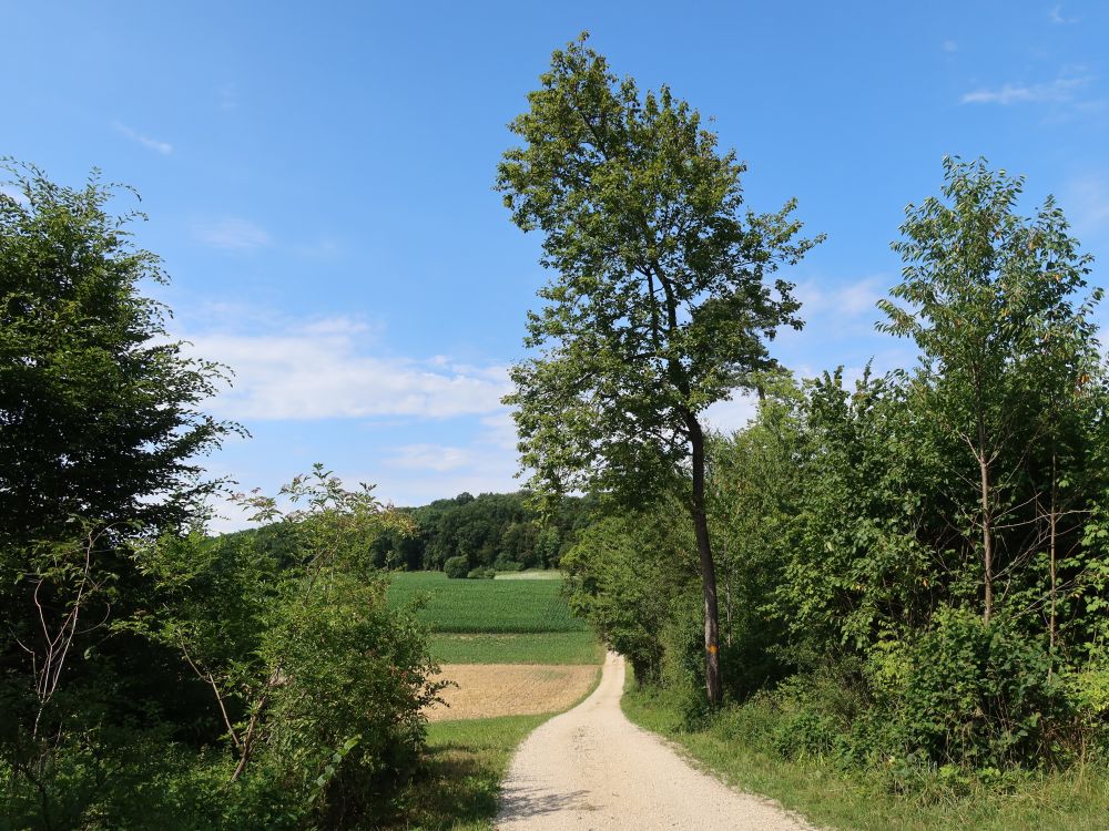 Bietinger Weg