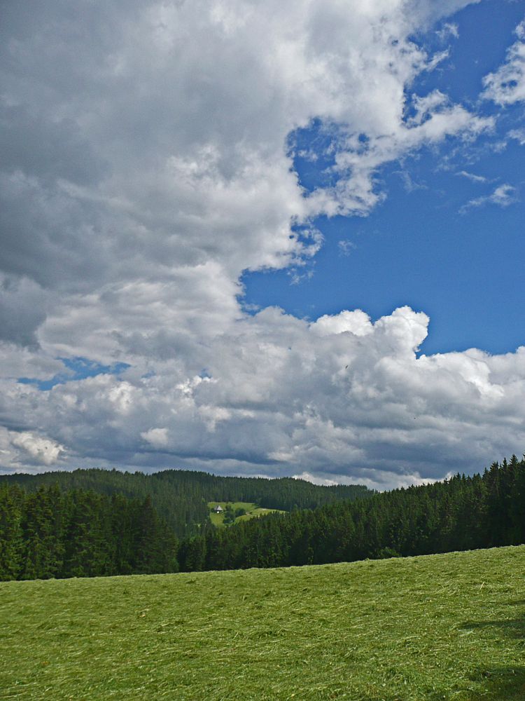 Blick Richtung Griesget