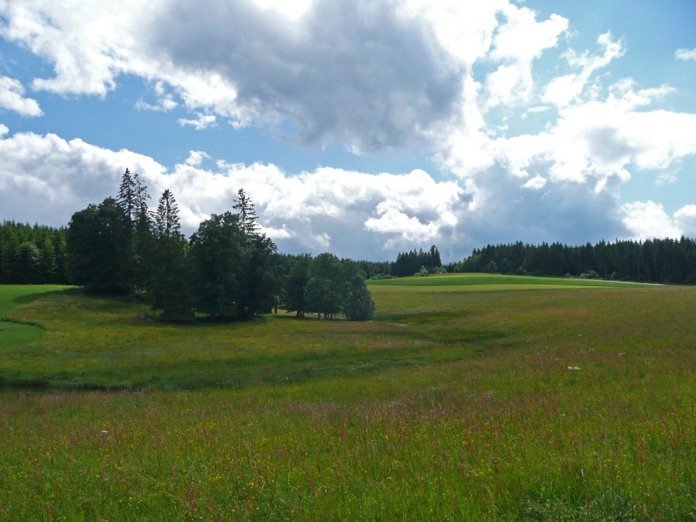 Landschaft bei Nuhurt