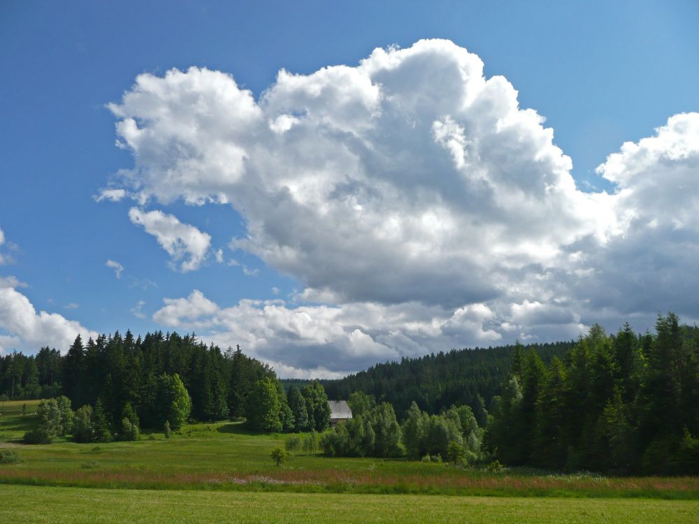 Bauernhaus am Mosenberg