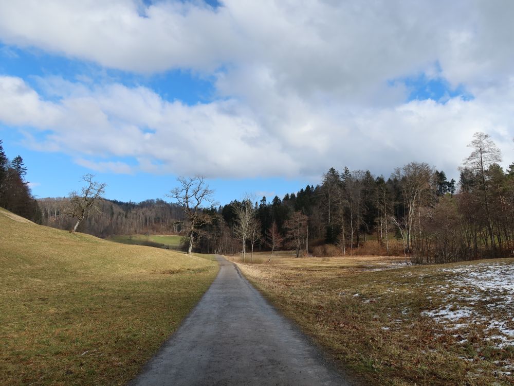 Weg im Hexengraben