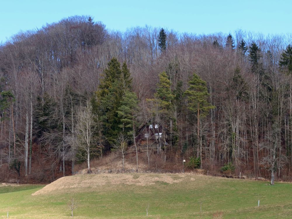 verstecktes Waldhaus