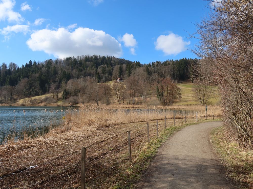 Uferweg und Almänd