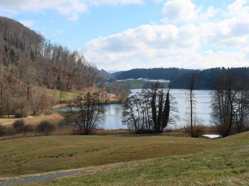 Türlersee