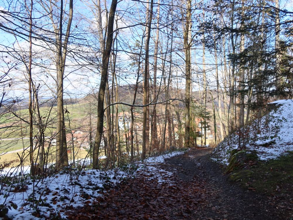 Waldweg bei Müliberg