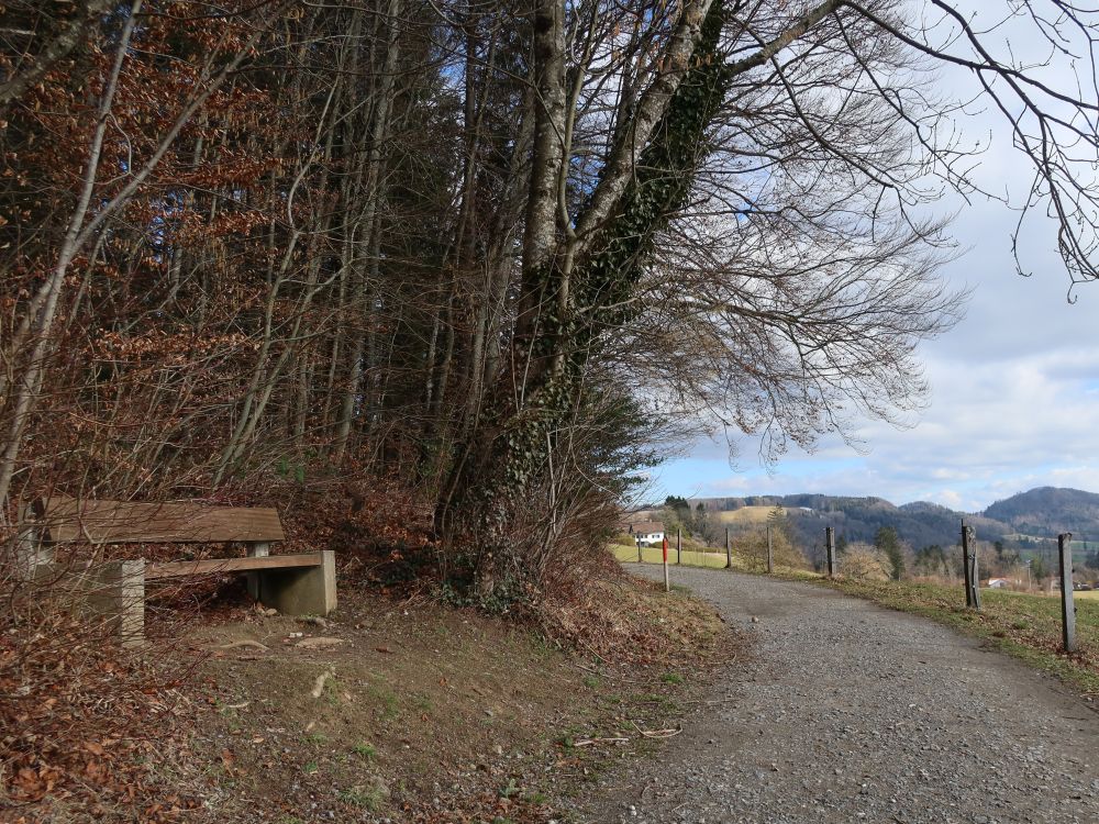 Sitzbank Im Stümmel