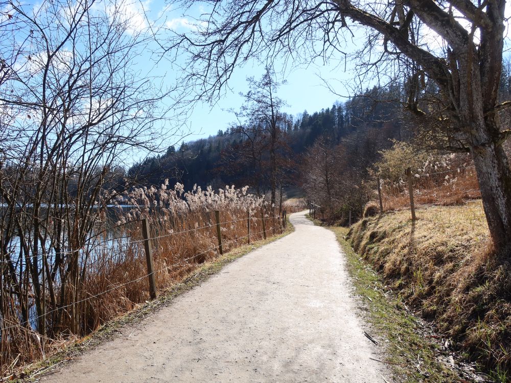 Uferweg bei Almänd