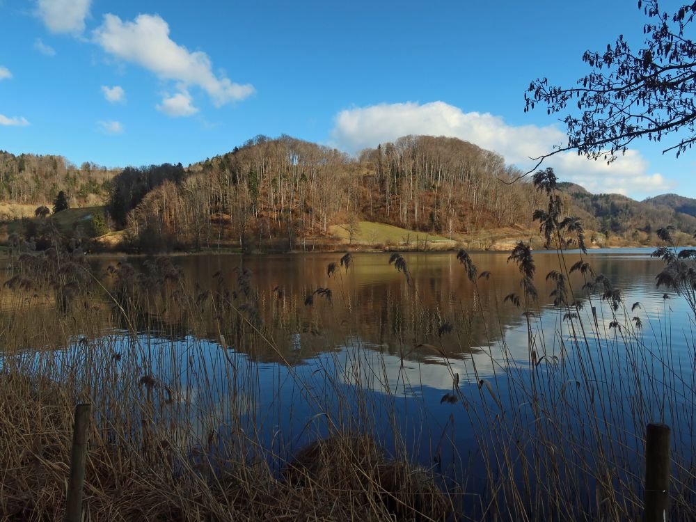 Spiegelung im Türlersee