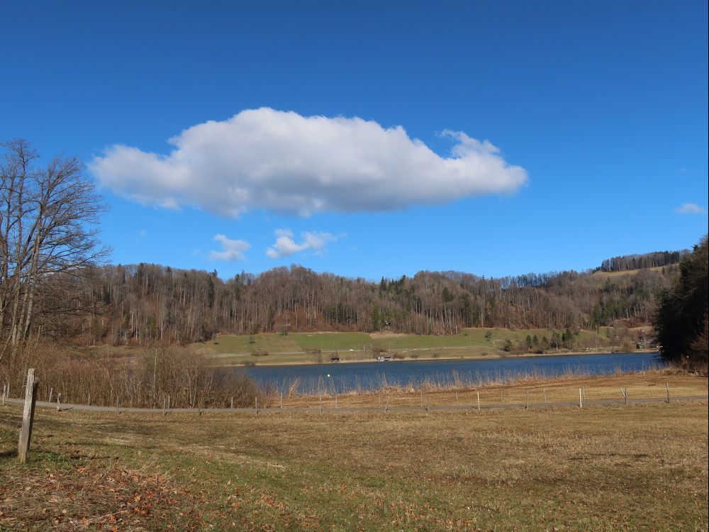 Wolke überm Türlersee