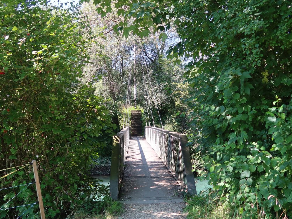 Holzsteg zur Gipmühle