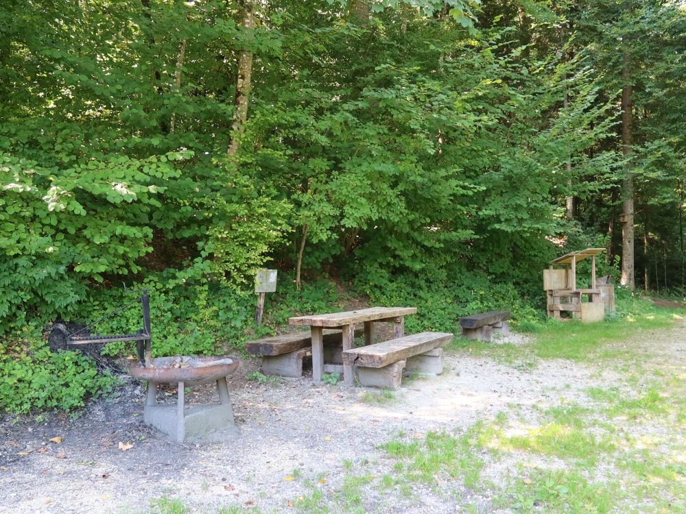 Feuerstelle im Wald Wilertanne