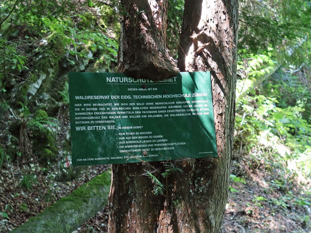 eingewachsene Infotafel