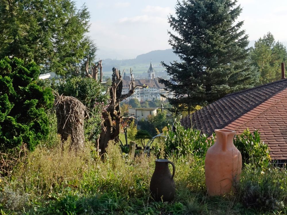 Blick zur Altstadt